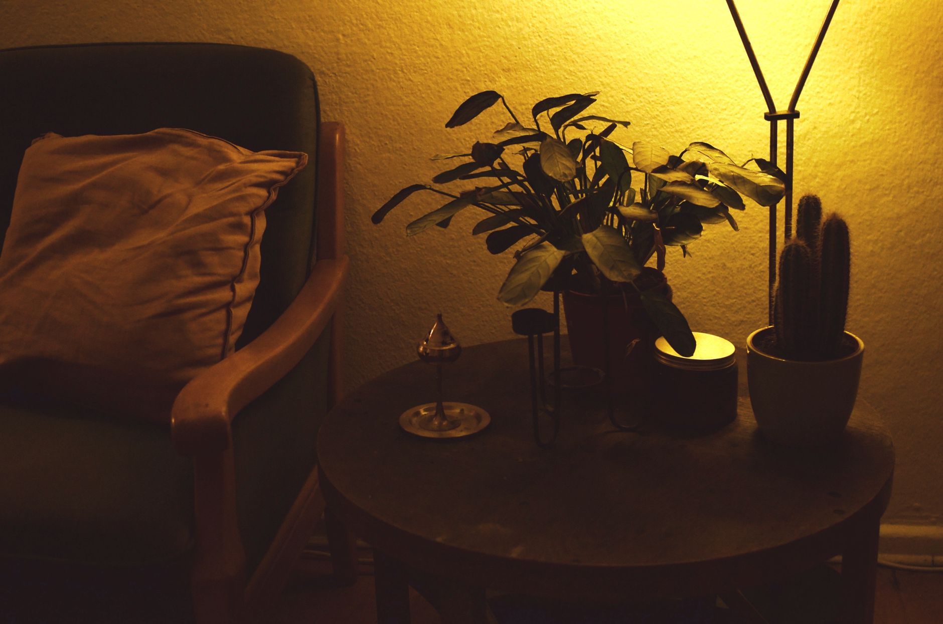 Dining table under warm evening lamplight